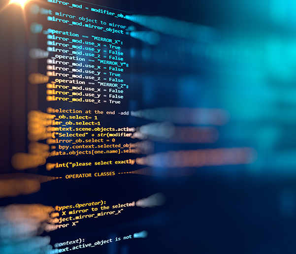 FlexNet Code Insight